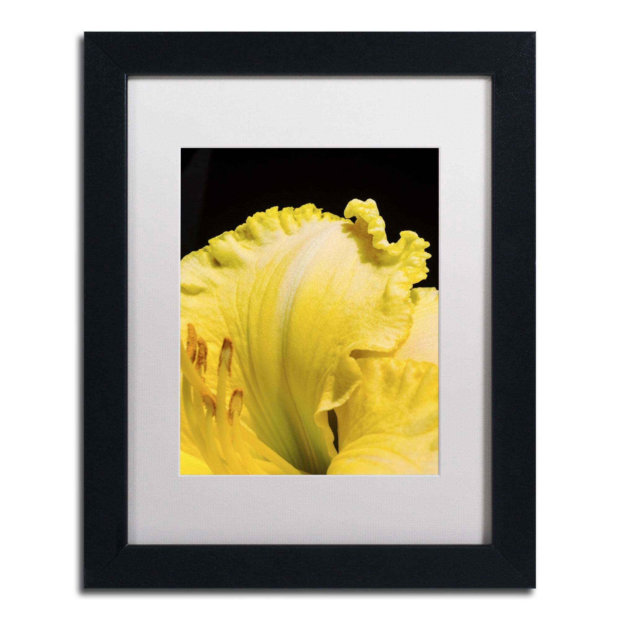 Trademark Fine Art "Day Lily Abstract" Canvas Art by Kurt Shaffer, White Matte, Black Frame