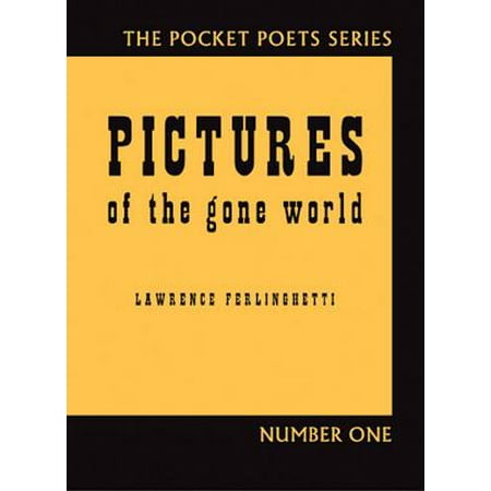 Pictures of the Gone World