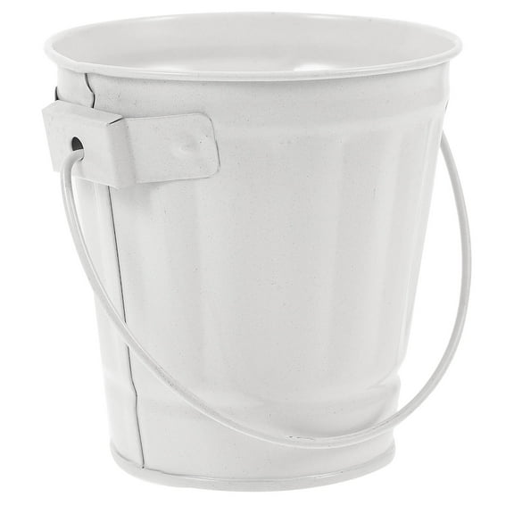 PBPBOX White Retro Iron Flower Pot Stylish Desktop Flower Bucket for Storage