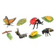 thumbnail image 1 of Juguetes de aprendizaje Strade Fareast Limited ciclo de vida de los animales Estilo A, 1 of 5