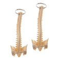 thumbnail image 2 of 2pcs Mini Handcrafted Human Spine Skeleton Model Keychain School Teaching Tool Elegant Pretty Novelty Key-chain Cute For Men Women, 2 of 5