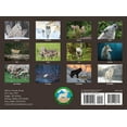 thumbnail image 2 of Silver Creek Press, Wolves 2026 Wall Calendar, 2 of 3