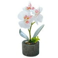 thumbnail image 1 of Artificial Orchid Flower & Pot Simulation Potted Flower Home Office Table Fake Floral Decor, 1 of 8