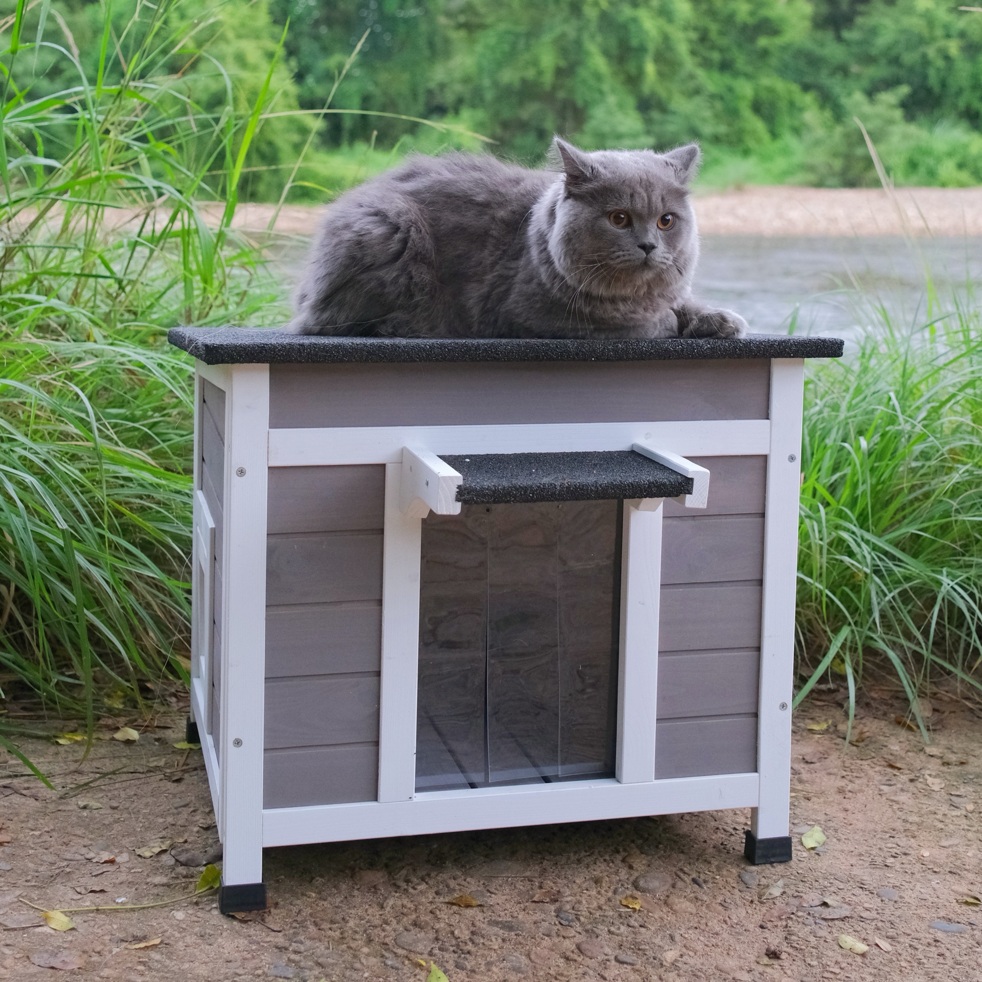 Outdoor Cat House Feral Cat Enclosure for Small Cat Dog Shelter