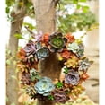 thumbnail image 5 of 26cm Iron Frame Wire Wreath Metal Planter Wall DIY Decoration, 5 of 7