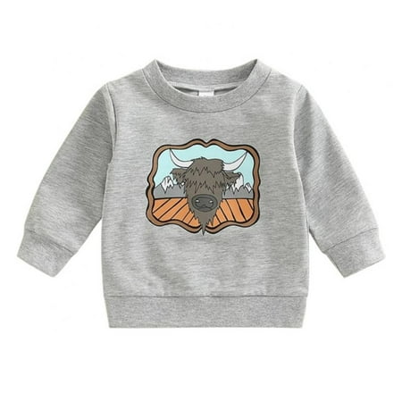 

Spring Fall Sweatshirts for Boy Children s Cotton Clothing Kid Long Sleeved Sweater T-shirts Pullover Bottom Tops 0-3Y