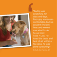 thumbnail image 3 of Vetality Twist & Lick Aller-Immune + Skin & Coat Supplement for Dogs, 2.3 oz, 3 of 9