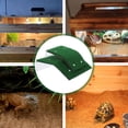 thumbnail image 3 of Phenofice Pet Ramp For Pool With Stable Fixation Green Plastic 2Pcs, 3 of 7