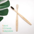 thumbnail image 2 of Cepillo de dientes Virgin Forest Bamboo Soft Bristle, 8 unidades, 2 of 7