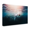 thumbnail image 4 of Canvas Wall Art - Davide Lopresti 'Sofie' Wall Art for Living Room, Bedroom, or Office Décor by Trademark Fine Art - 24 x 16 Inches, 4 of 4