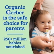 Gerber Organic Baby Cereal, Oatmeal for Babies, Infant Cereal, Organic Baby Food, Stage 1 8 oz