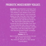 Nature's Garden Probiotic Mixed Berry Yogurt Fruit Snacks, 24 Pack, 2B ...
