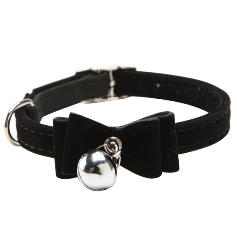 cat collar with bell