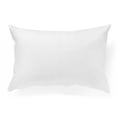 thumbnail image 2 of Millano Everyday Pillow Protector (2 Pack), 2 of 3