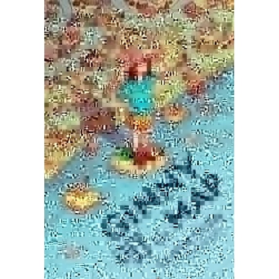 Pre-Owned Ginny Off the Map (Hardcover) 0316324620 9780316324625