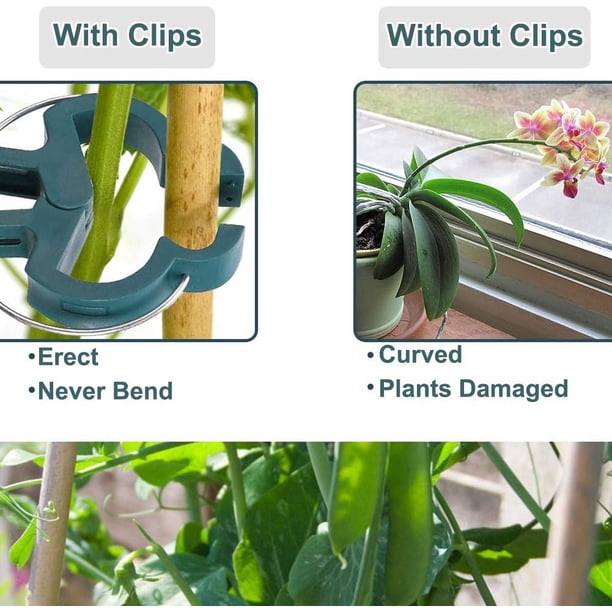 Clips Para Plantas KINGLAKE - 200 Piezas Blancas, Ajustables, Ideales Para Tomates, Pepinos Y Enredaderas