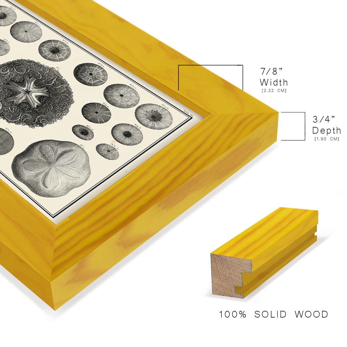 Aegean Collection I -Framed Print w/glass-Sunflower Yellow