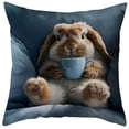 thumbnail image 5 of ERK 1Pcs Decorative Covers Of 2 For Sofa Bed Couch Living Room Throw With Hidden Zipper, 5 of 5