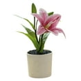thumbnail image 2 of Travelwant Barnyard Designs Artificial Peace Lily in Small Pot, Large Indoor Faux Potted House Plant for Home, Office, or Parlor Decor, 2 of 7
