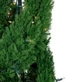 thumbnail image 6 of Northlight Real Touch™ Artificial Pre-Lit Cedar Double Spiral Topiary Tree, Clear Lights 4.5', 6 of 9