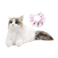 thumbnail image 3 of Realista Ragdoll gato Animal relleno gato muñeca simulación creativo compañero gato de peluche de juguete para niños niñas regalos de cumpleaños Pañuelo gato rosa, 3 of 9