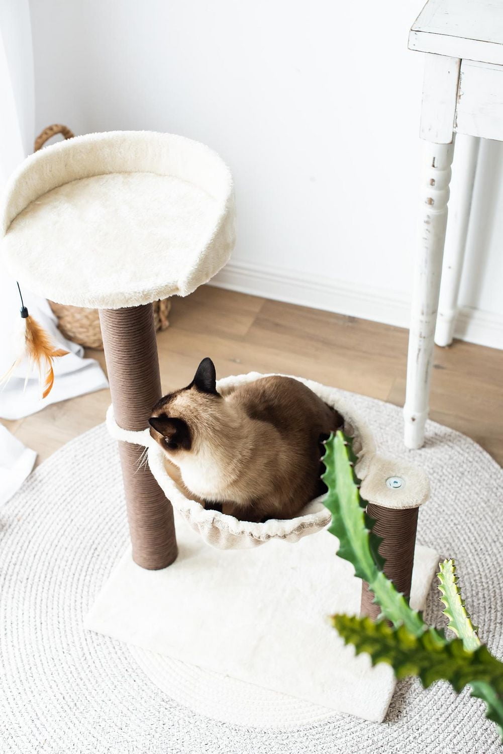 Catry Nirvana Tour pour chat avec hamac et griffoir