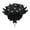 black, variant on Halloween Faux Rose Bushes, Xinsrenus Realistic Eyeball Flowers Decor, 10 Pack Black Red Rayon Gothic Rose Stems For Halloween Party Home Decorations