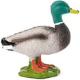 thumbnail image 4 of Schleich - Farm World: Mallard Drake Duck Animal Toy Figurine Educational Playset, 1 pc, 4 of 4