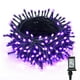 thumbnail image 1 of Cadena de luces BrizLabs, color morado para Halloween, 78,74 pies, 240 LED, 1 of 7