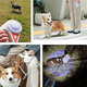 thumbnail image 3 of Automática De Correas Para Perro Retractil Con Luz Led 5m Xtellar morado, 3 of 4