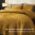 thumbnail image 2 of Juego de edredón Powdion Velvet Queen con 2 fundas de almohada, 2 of 7