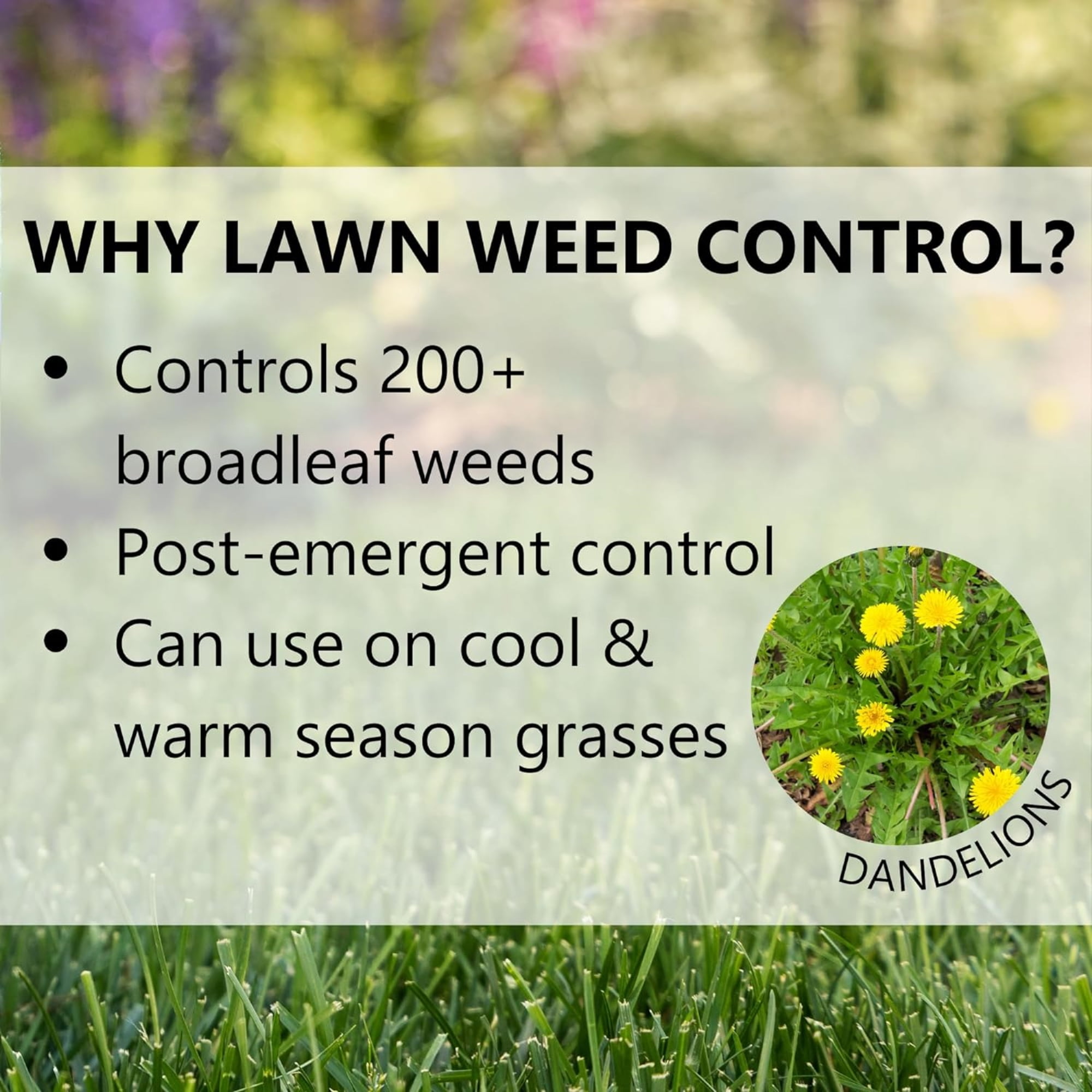 Jonathan Green 12197 Lawn Weed Control - Post Emergent Broadleaf Weed Killer 15,000 Sq. Ft.