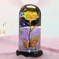 thumbnail image 5 of Christmas Rose Flower Gifts for Her, Galaxy Glass Roses, Light up Artificial Flower in Glass Dome, Xmas Gifts Is for Women Mom Her Wife Grandma Sister, Mothers Day,Christmas,Anniversary, 5 of 9