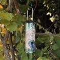 thumbnail image 4 of Inteprter Donut Suet Fat Ball Feeder Caja transparente de metal Resistente a la intemperie Colgante Fat Ball Feeder para pájaro Jardín y Patio Inteprter HA020723-00, 4 of 5