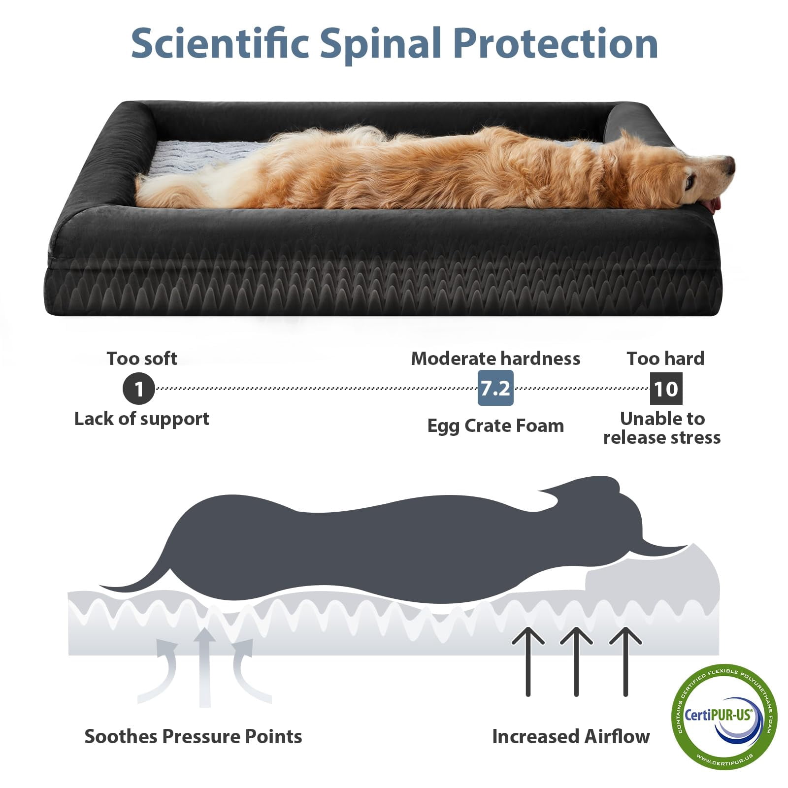 Extra Large Dog Bed Black Washable Couch with Removable Waterproof Cover Orthopedic Pet Sofa Bolster Sides for Sleeping