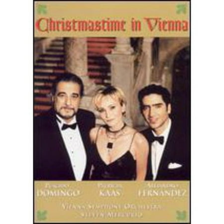 Christmas Time In Vienna (Full Frame)