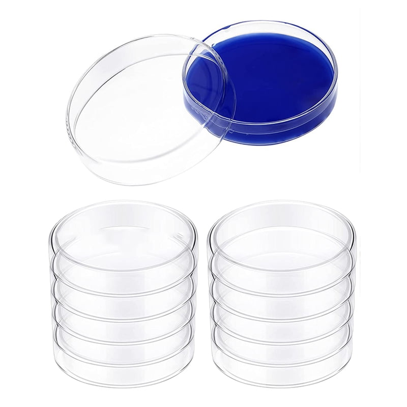 Glass Dish Set Borosilicate Lab Plates Transparent Tissue Culture