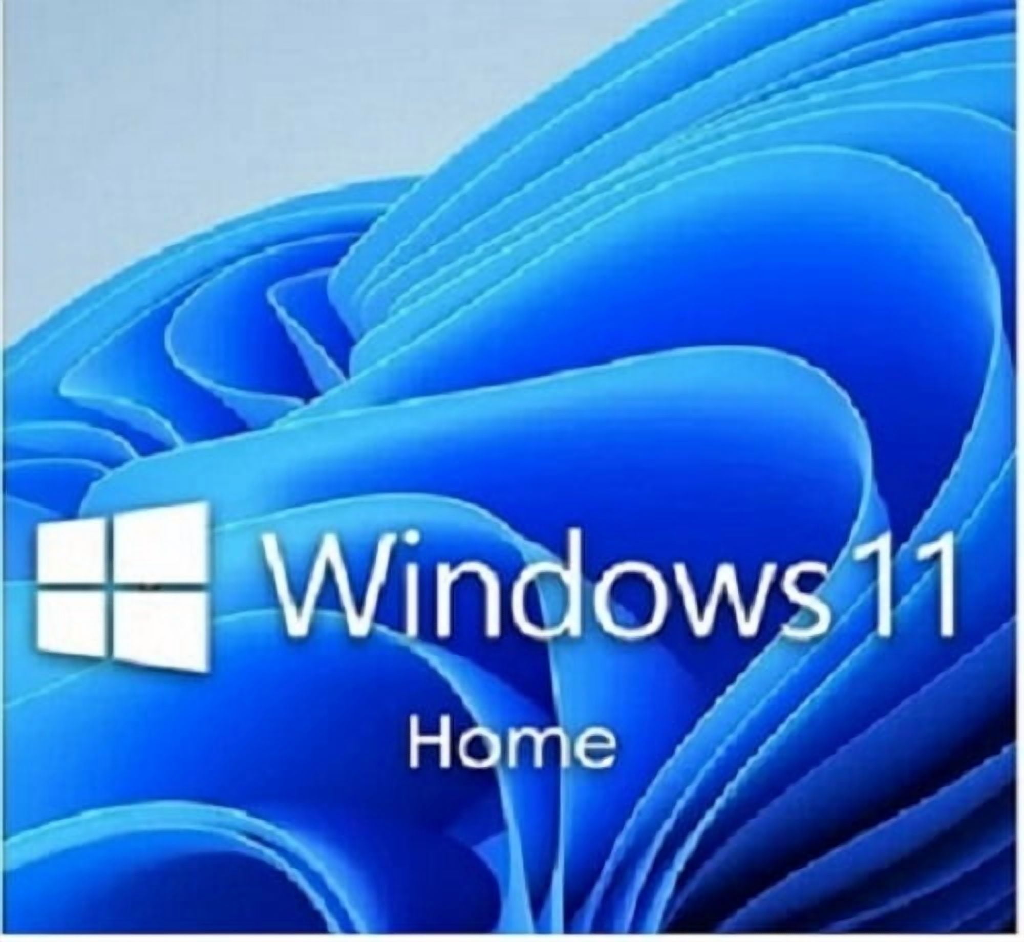 Microsoft: Windows 11 Pro, 64 Bit OEM Disc, 1 User - Walmart.com