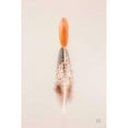 thumbnail image 3 of Larson, Nathan 13x18 Black Modern Framed Museum Art Print Titled - Floating Feathers I, 3 of 5