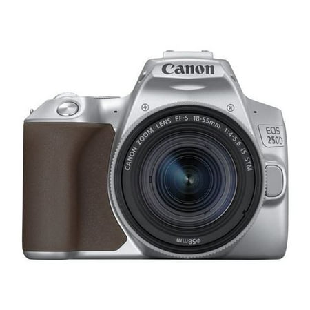 Canon EOS 250D (Rebel SL3) DSLR Camera w/ 18-55mm is STM Lens (Silver)
