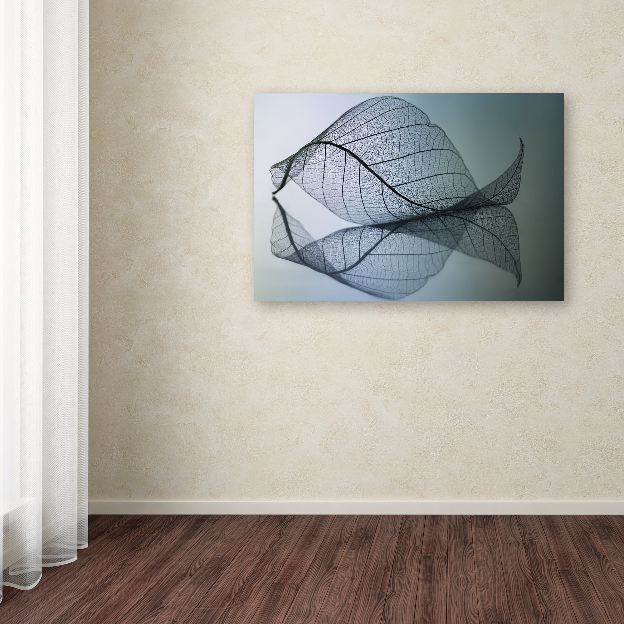 Trademark Fine Art 'Curvaceousness' Canvas Art by Shihya Kowatari