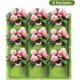thumbnail image 2 of Bolsas para maceteros colgantes, 9 bolsillos para colgar en la pared vertical, bolsas de cultivo para plantar, jardinería interior y exterior, flor verde vertical, 2 of 5