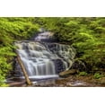 thumbnail image 2 of OBrien, Jay 24x17 White Modern Wood Framed Museum Art Print Titled - Pennsylvania, Ricketts Glen SP Mohican Falls, 2 of 4
