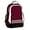 Maroon, variant on chassé Challenger Backpack
