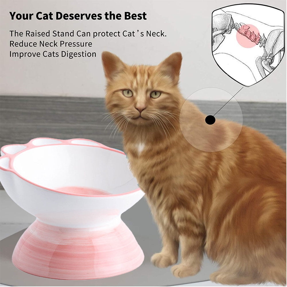 JOYO Raised Cat Bowls for Indoor Cat or Small Dogs - CatRomance