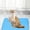 Blue, variant on Dmlowu Washable Dog Bed for Crate, Portable Lightweight Dog Bed for Small Medium Size Dogs Cats, Summer Cooling Mat for Car Seat Floor Sofa