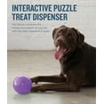 thumbnail image 2 of Planet Dog Orbee-Tuff Mazee Interactive Puzzle Dog Toy, Purple, One-Size, 2 of 4