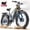GRAY-3000W, variant on Electric Bike for Adults 26'', 1500W E-Mountain Bike 48V 20Ah UL2849 Removable Battery,Fat Tire Ebike up to 30MPH Off Road Beach Snow Electric Bicycles Full Suspension & Dual Hydraulic Disc Brakes