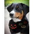 thumbnail image 5 of Cute Halloween Dog Bandanas 2 Pack, Pumpkin Cartoon Ghost Skeleton Spider Dog Scarf, Handkerchief Scarves Gifts for Puppy Large Dogs, 5 of 6