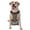 With Accessories, variant on Vsdgher Cute Puffer Fish Pattern Dog Harness,No Pull Pet Harness with Soft Padded Handle,Adjustable Reflective Vest with 2 Buckles,4 Slide Buckles,S-XL Medium